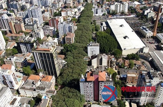 世界上最美的街道----巴西阿雷格里港大街