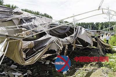 京12个大棚搞变相“小产权房” 公众谨防受骗