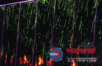 青岛萤火虫替代电灯 “飞火流萤”美景唤环保意识