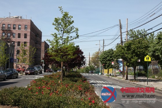 Mathews Nielsen设计的纽约南布朗克斯园林路