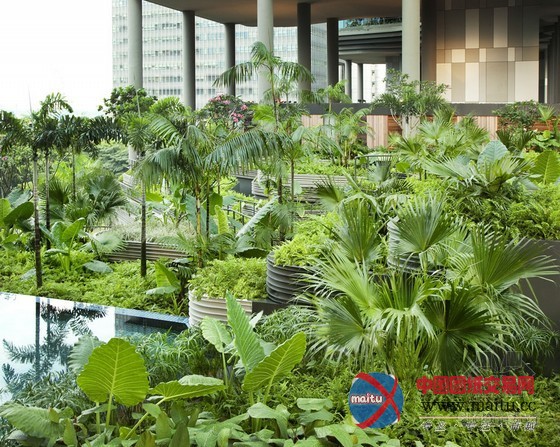 2013南京世界屋顶绿化大会精品案例——WOHA设计的空中花园酒店