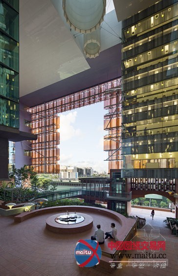 澳大利亚昆士兰的翻译研究所办公空间