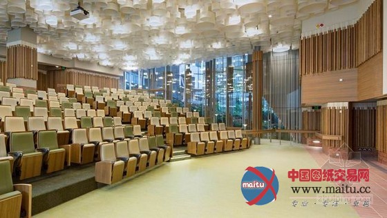 澳大利亚昆士兰的翻译研究所办公空间