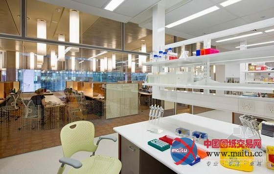 澳大利亚昆士兰的翻译研究所办公空间