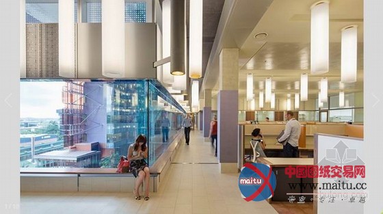 澳大利亚昆士兰的翻译研究所办公空间