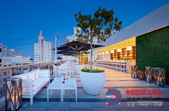 美国迈阿密南海滩歌鸥丽晶酒店 体验黄金海岸的魅力