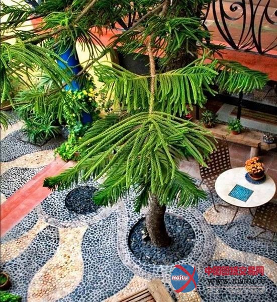 墨西哥色彩缤纷的住宅设计 异域风情十足