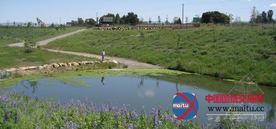 CMG设计的都柏林农场水池