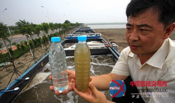 天津移动式“污水处理厂” 日处二次用水3百吨