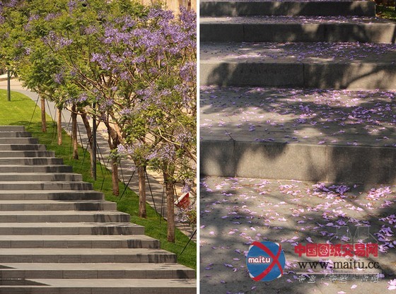 vladimir djurovic设计的hariri纪念公园