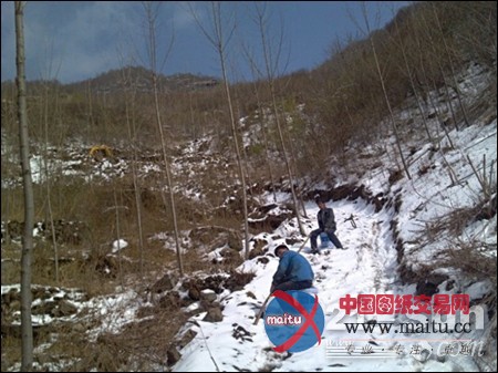 前方声音:玉柴挖机一线缘 华良客户情相连