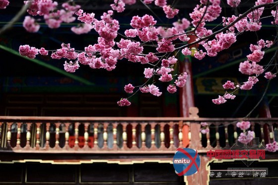 丽江花间堂唯美人文客栈墨香院 瞬间穿越古时私塾