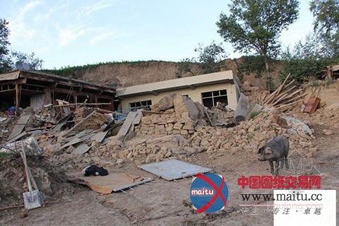 专家剖析甘肃地震重灾原因 呼吁重建房屋砖混结构