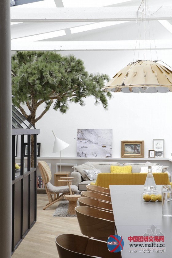 温室改造的巴黎阁楼公寓设计