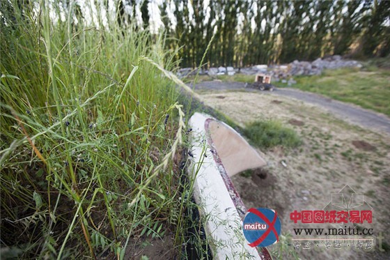 节能耐用的加州掩土屋模板