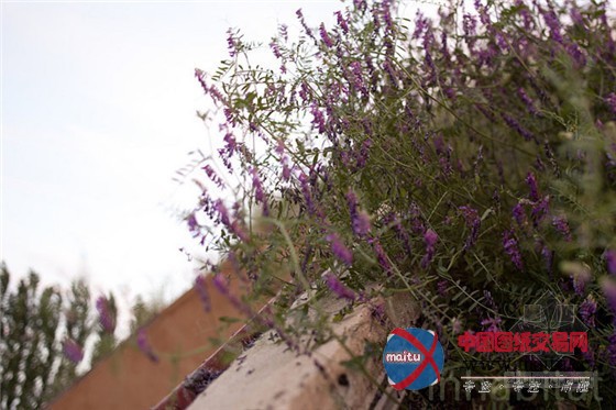 节能耐用的加州掩土屋模板