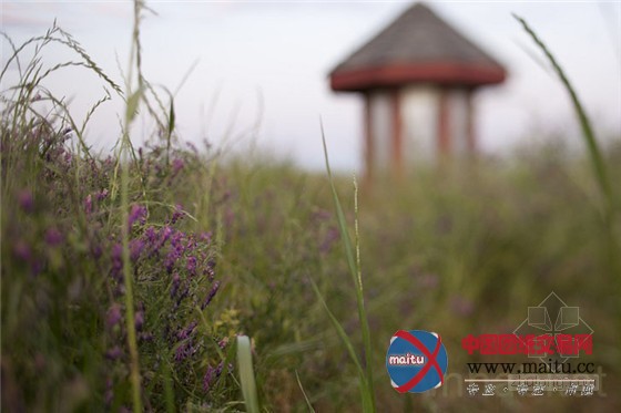 节能耐用的加州掩土屋模板