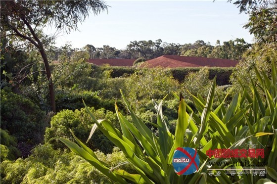 融合园艺、建筑、生态和艺术的澳洲花园