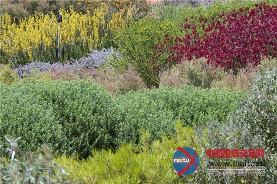 融合园艺、建筑、生态和艺术的澳洲花园