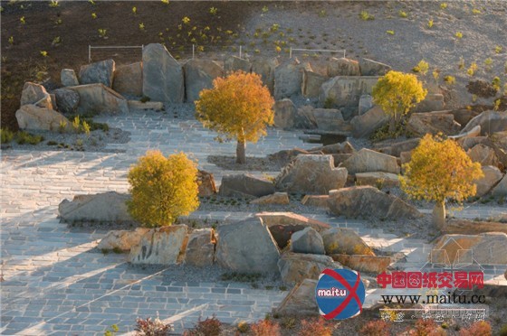 融合园艺、建筑、生态和艺术的澳洲花园