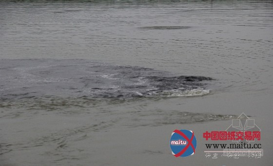 污水厂明修栈道,暗渡陈仓-给排水-中国图纸交