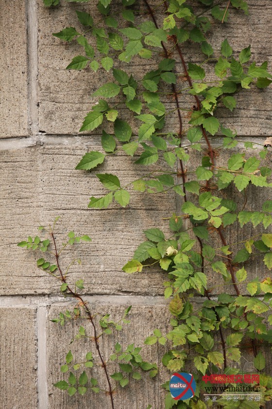 杭州凤凰山庄艺术酒店设计 呈现国内外当代艺术大家真作