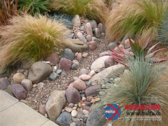 亚热带现代主义佛罗里达