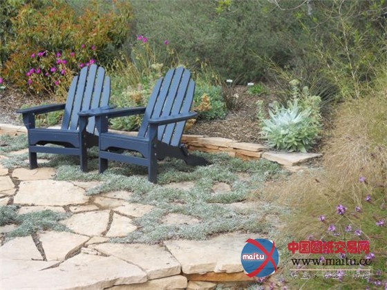 亚热带现代主义佛罗里达