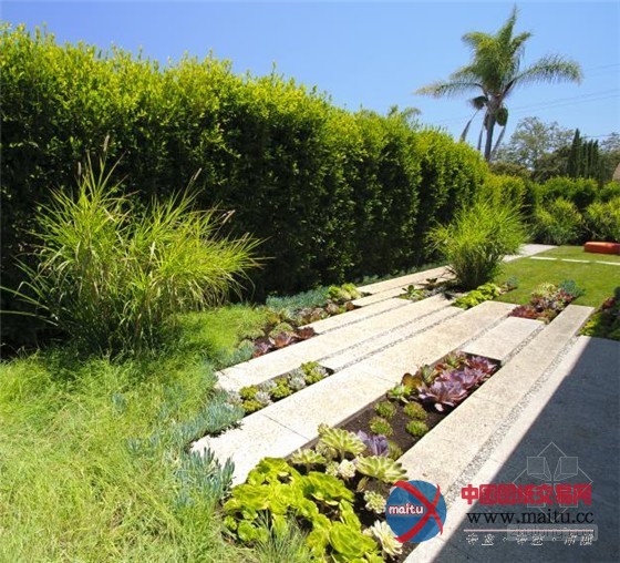 亚热带现代主义佛罗里达