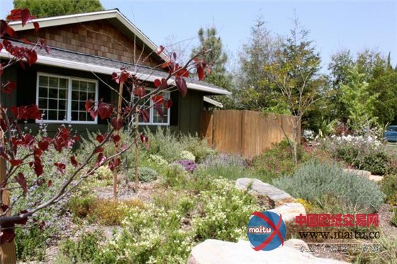 亚热带现代主义佛罗里达