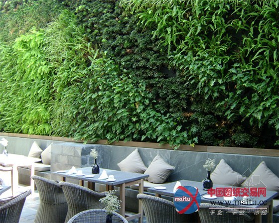 墨西哥瑞维拉玛雅度假村