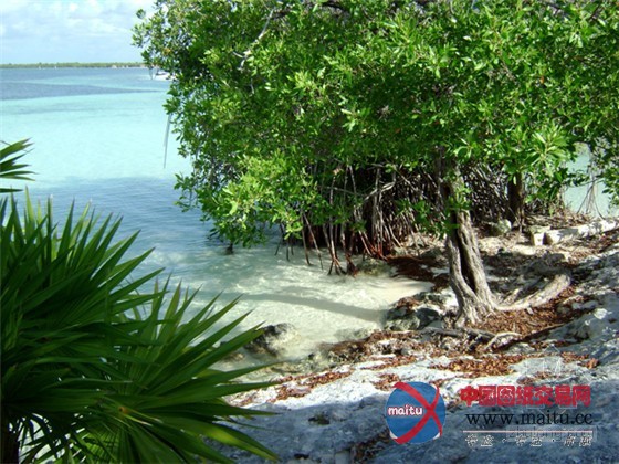 墨西哥瑞维拉玛雅度假村