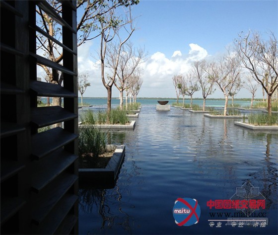 墨西哥瑞维拉玛雅度假村