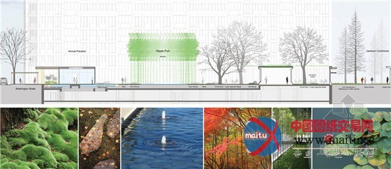 华盛顿绿水缠绕的住宅区