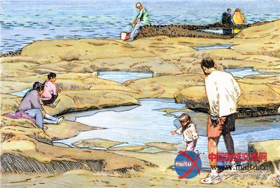 布朗加鲁海峡历史的革新