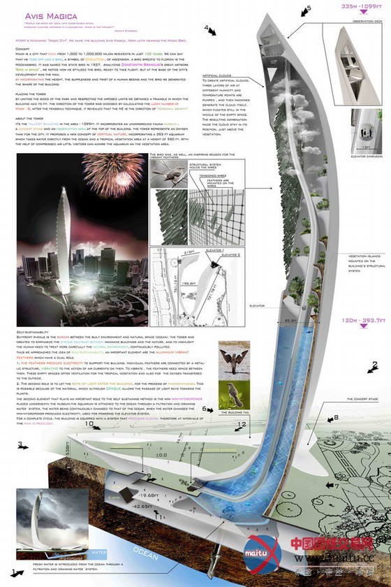 ARMARADA设计的佛罗里达州“神奇大鸟”——摩天大厦