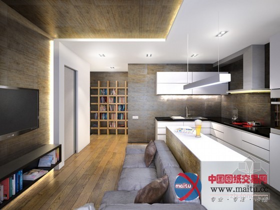 莫斯科时尚公寓 简单的散发着工业风