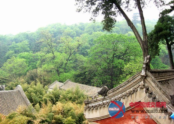 园博园中领略佛教文化景观