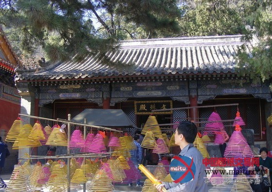 园博园中领略佛教文化景观