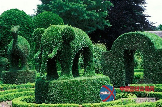 漫步全球九大奇妙花园 植物雕塑形态各异