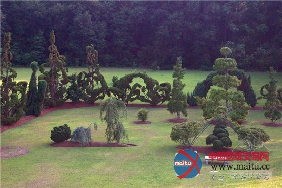 漫步全球九大奇妙花园 植物雕塑形态各异