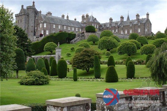 漫步全球九大奇妙花园 植物雕塑形态各异