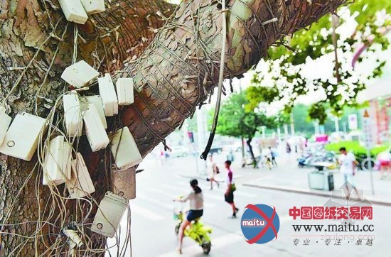 河北石家庄“景观彩灯灯架”