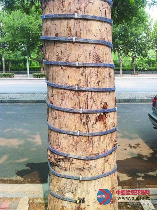 河北石家庄“景观彩灯灯架”