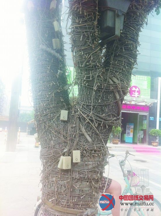 河北石家庄“景观彩灯灯架”