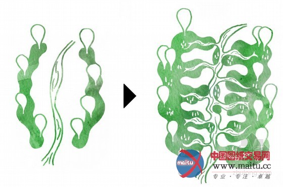 Taller 301等设计的哥伦比亚城市竞赛:土地+文明的城市发展概念