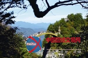 鬼斧神工般的绝美风景“神农架”