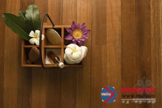 斯里兰卡泰姬陵度假酒店 享有印度洋的壮丽景色