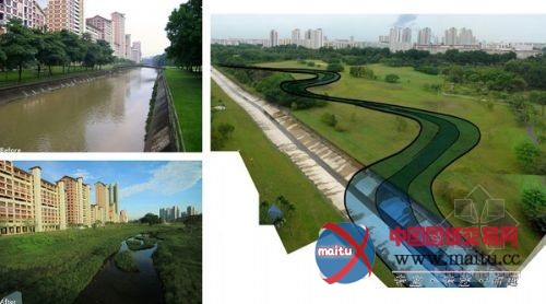 新加坡生态公园 混凝土水渠改建成“自然河道”