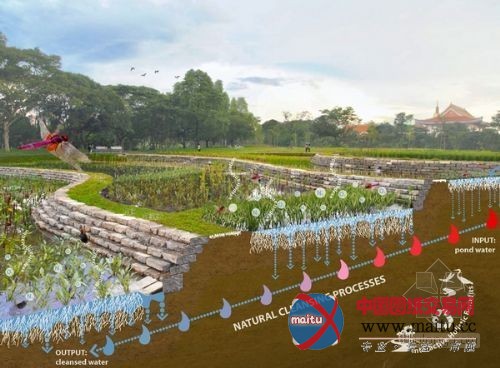 新加坡生态公园 混凝土水渠改建成“自然河道”